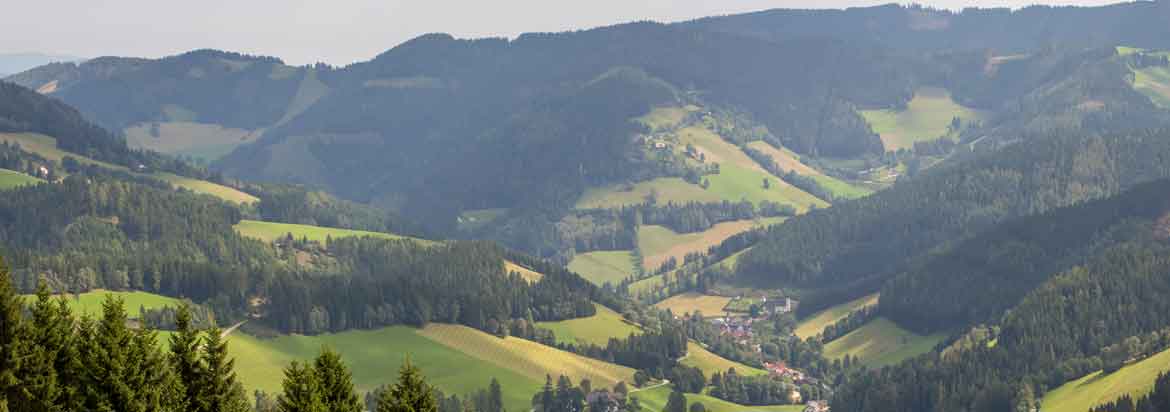 Gasen_Landschaft.jpg 